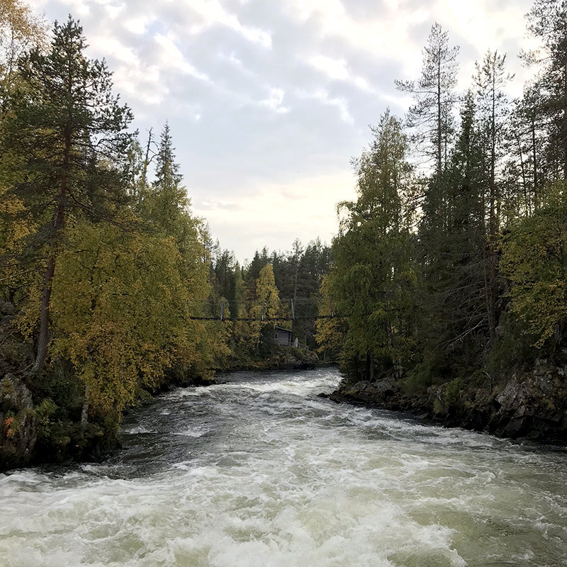 Oulangan Kansallispuisto - Kuusamo - Ruka - Kitkajoki - Vanlifefinland