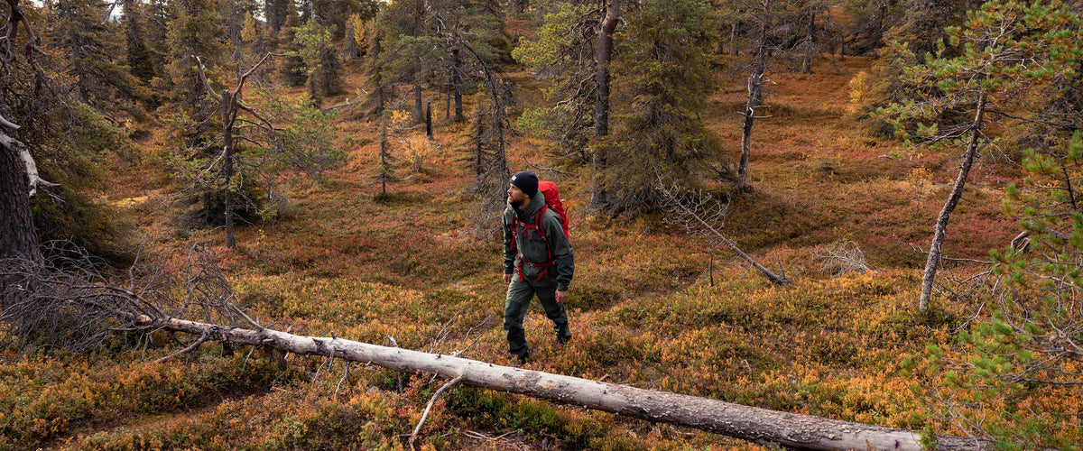 Henkilö, jolla on punainen reppu, vaeltaa metsässä, jossa on syksynvärinen maanpeite ja hajallaan kaatuneita puita.